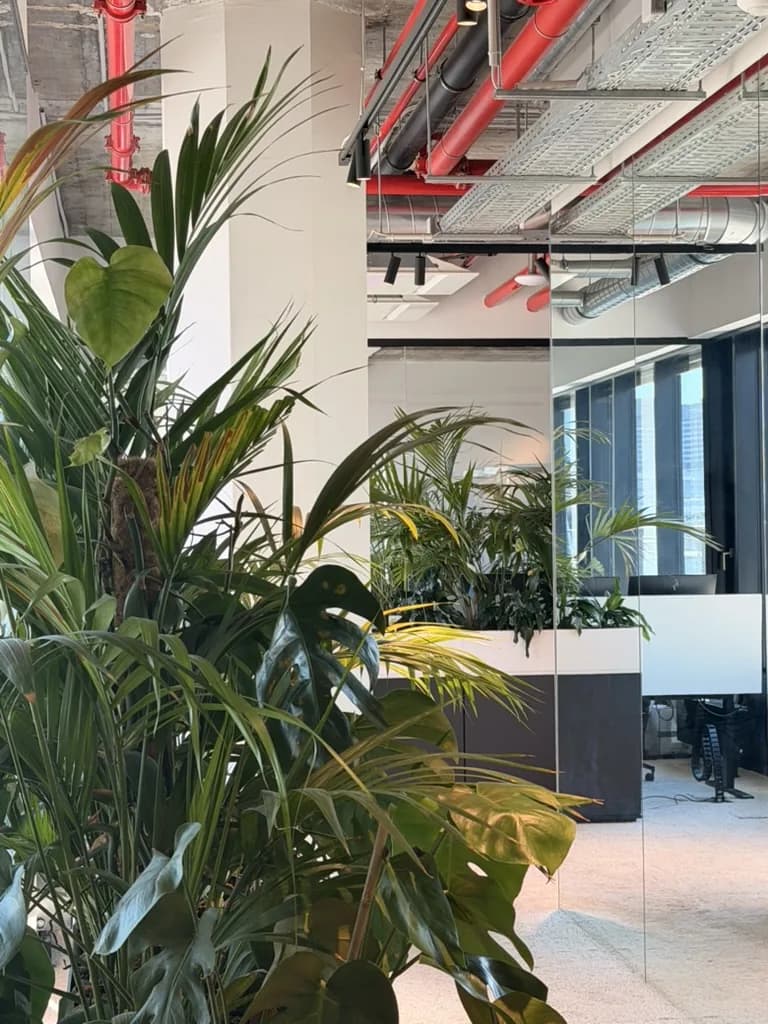 Indoor planting beside glass meeting rooms inside Speedinvest's office.